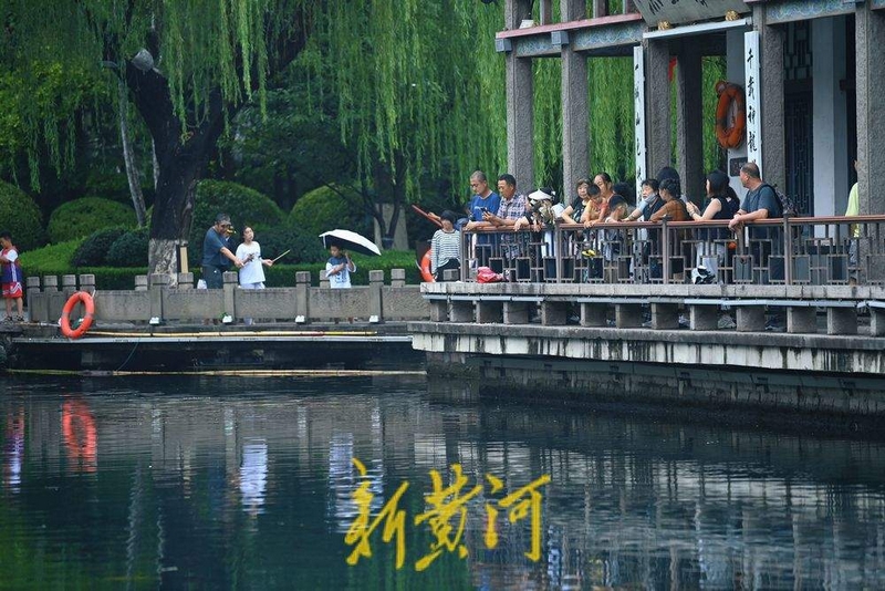 济南雨后五龙潭人气旺 “龙潭观鱼”别有意境