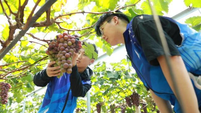 郯城：电商赋能乡村振兴 校地企协同打造共富新路径