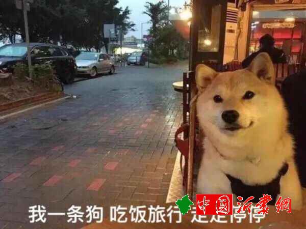 女生脱单是不是比男生容易，但脱单可没那么容易