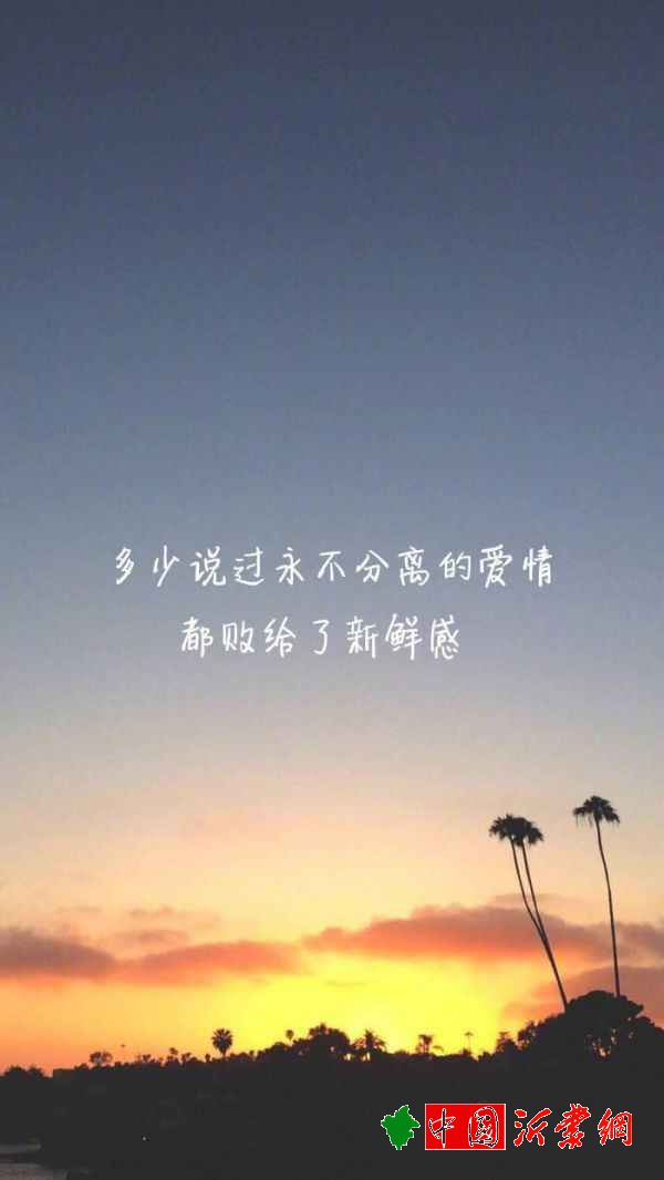 意境文字46张励志文字清新意境壁纸